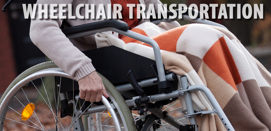 Here is a website that offers wheelchair accessible van